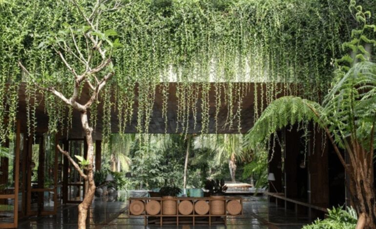 Unveiling Lyposingrass: The Natural Green Wonder You Should Explore