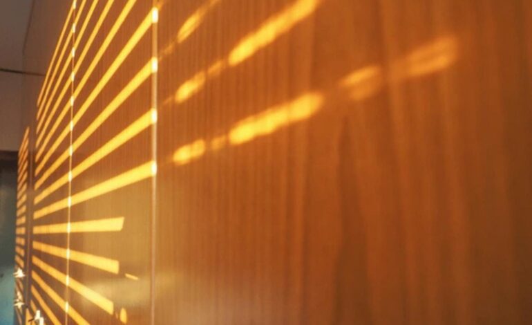 Lidarmos Uncovered: Features and Functional Insights