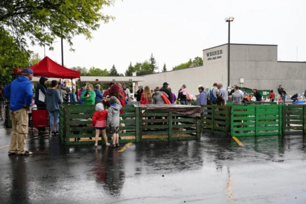 teen takeover denver zoo