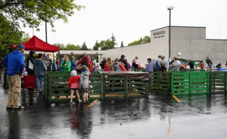 Social Media Sparks Teen Takeover at Denver Zoo, Prompting Early Shutdown