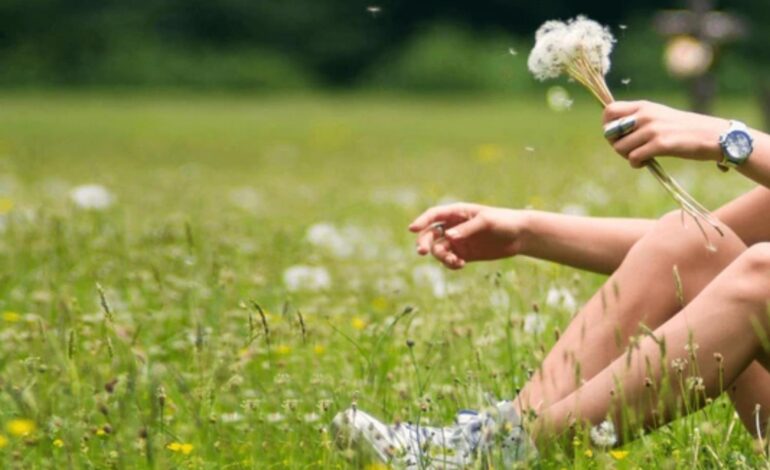 Acamento: Understanding the Art of Deep and Purposeful Connections