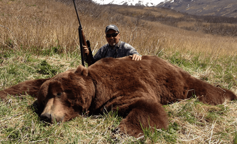 Alaska Brown Bear Hunts: The Ultimate Big Game Hunting Experience