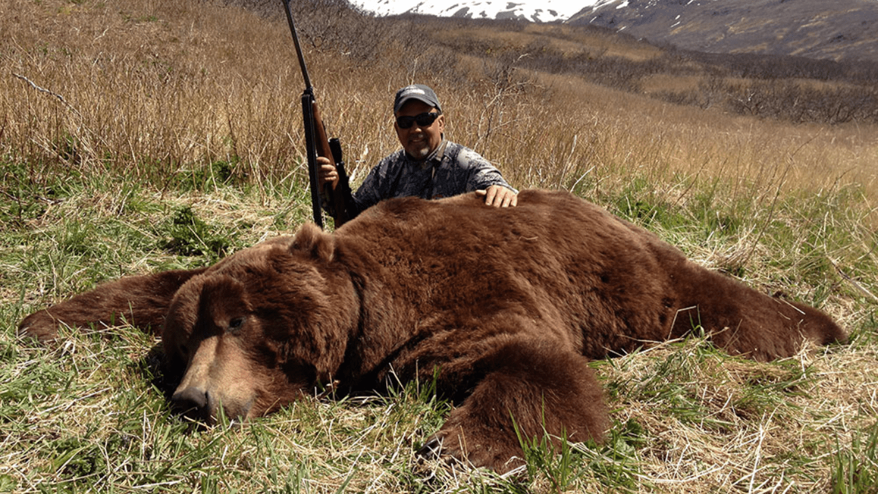 Alaska Brown Bear Hunts: The Ultimate Big Game Hunting Experience